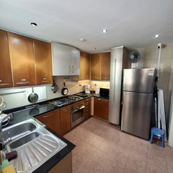 Twin Heights (D12), Apartment #584677541